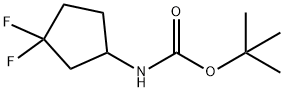 tert-Butyl (3,3-difluorocyclopentyl)carbaMate Struktur