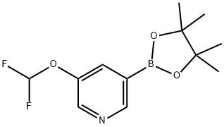 3-(difluoroMethoxy)-5-(4,4,5,5-tetraMethyl-1,3,2-dioxaborolan-2-yl)pyridine Struktur