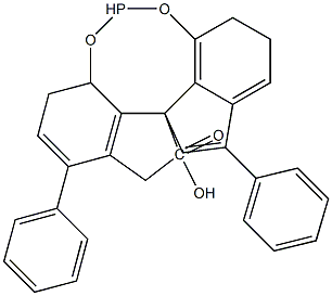 (11aS)-10,11,12,13-Tetrahydro-5-hydroxy-3,7-diphenyl-diindeno[7,1-de:1',7'-fg][1,3,2]dioxaphosphocin-5-oxide Struktur