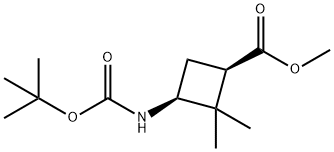 Methyl cis-3-(Boc-aMino)-2,2-diMethylcyclobutanecarboxylate Struktur