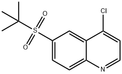 4-chloro-6-[(1,1-diMethylethyl)sulfonyl]quinoline Struktur