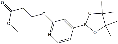 methyl 3-(4-(4,4,5,5-tetramethyl-1,3,2-dioxaborolan-2-yl)pyridin-2-yloxy)propanoate Struktur