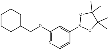 2-(cyclohexylmethoxy)-4-(4,4,5,5-tetramethyl-1,3,2-dioxaborolan-2-yl)pyridine Struktur