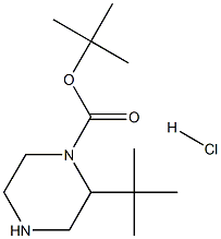 1-Boc-2-tert-Butylpiperazine hydrochloride Struktur