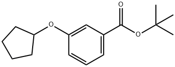 3-Cyclopentyloxy-benzoic acid tert-butyl ester Struktur