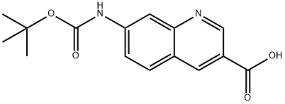 7-(tert-butoxycarbonylaMino)quinoline-3-carboxylic acid Struktur