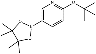 2-tert-Butoxy-5-(4,4,5,5-tetraMethyl-[1,3,2]dioxaborolan-2-yl)-pyridine Struktur