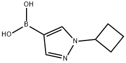 (1-Cyclobutylpyrazol-4-yl)boronic acid