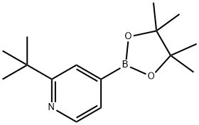 2-tert-butyl-4-(4,4,5,5-tetraMethyl-1,3,2-dioxaborolan-2-yl)pyridine Struktur