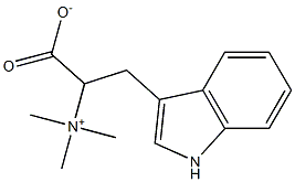 N,N,N-トリメチル-1-カルボキシラト-2-(1H-インドール-3-イル)エタンアミニウム 化學(xué)構(gòu)造式