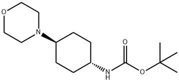 558442-96-9 Structure