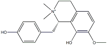 oblongine Struktur