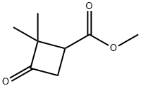 Methyl 2,2-diMethyl-3-oxocyclobutanecarboxylate Struktur