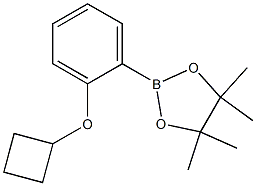 2-(2-Cyclobutoxy-phenyl)-4,4,5,5-tetraMethyl-[1,3,2]dioxaborolane Struktur