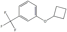 1-Cyclobutoxy-3-trifluoroMethyl-benzene Struktur