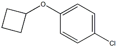 1-Chloro-4-cyclobutoxy-benzene Struktur