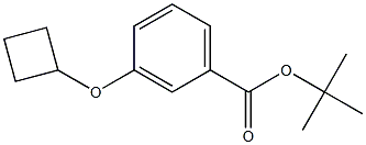 3-Cyclobutoxy-benzoic acid tert-butyl ester Struktur