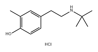 沙丁胺醇雜質(zhì)H 結(jié)構(gòu)式