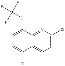 2,5-dichloro-8-(trifluoroMethoxy)quinoline Struktur