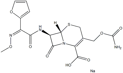 CefuroxiMe sodiuM iMpurity B