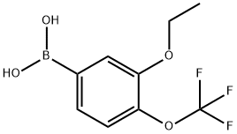 3-ethoxy-4-(trifluoroMethoxy)phenylboronic acid Struktur