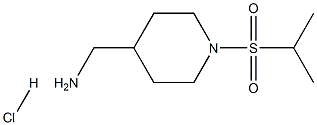 [1-(Isopropylsulfonyl)piperidin-4-yl]methanamine hydrochloride Struktur