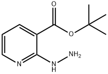 2-Hydrazino-nicotinic acid tert-butyl ester Struktur