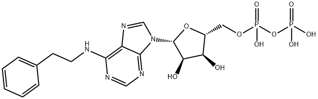 Adenosine 5'-(trihydrogen diphosphate), N-(2-phenylethyl)- Struktur