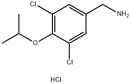 3,5-DICHLORO-4-ISOPROPOXYBENZYLAMINE HYDROCHLORIDE Struktur