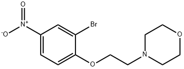 4-(2-(2-bromo-4-nitrophenoxy)ethyl)morpholine Struktur