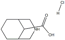 3-AZABICYCLO[3.3.1]NONANE-9-CARBOXYLIC ACID HCL Struktur