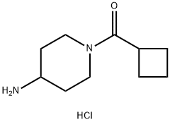 (4-Aminopiperidin-1-yl)(cyclobutyl)methanone hydrochloride Struktur