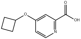 4-Cyclobutoxypyridine-2-carboxylic acid Struktur