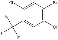 4-Bromo-2,5-dichlorobenzotrifluoride|4-溴-2,5-二氯三氟甲基苯