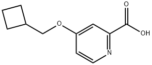 4-(Cyclobutylmethoxy)pyridine-2-carboxylic acid Struktur