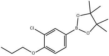 3-CHLORO-4-PROPOXYPHENYLBORONIC ACID PINACOL ESTER Struktur