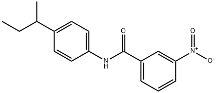 N-[4-(butan-2-yl)phenyl]-3-nitrobenzamide Struktur