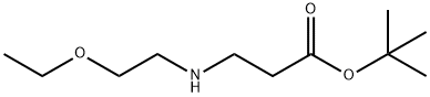 tert-butyl 3-[(2-ethoxyethyl)amino]propanoate Struktur