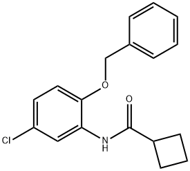 N-(5-chloro-2-phenylmethoxyphenyl)cyclobutanecarboxamide Struktur