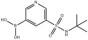 B-[5-[[(1,1-dimethylethyl)amino]sulfonyl]-3-pyridinyl]Boronic acid Struktur