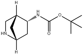 1R,4R,5R-(2-Aza-bicyclo[2.2.1]hept-5-yl)-carbamic acid tert-butyl ester Struktur