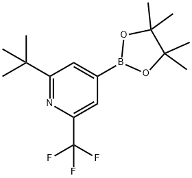 2-(tert-butyl)-4-(4,4,5,5-tetramethyl-1,3,2-dioxaborolan-2-yl)-6-(trifluoromethyl)pyridine Struktur