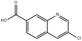 3-chloroquinoline-7-carboxylic acid Struktur