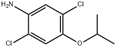 2,5-Dichloro-4-isopropoxyaniline Struktur