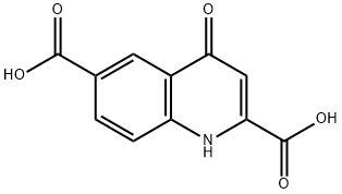 4-Oxo-1,4-dihydro-quinoline-2,6-dicarboxylic acid Struktur