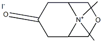 9,9-dimethyl-7-oxo-3-Oxa-9-azoniabicyclo[3.3.1]nonane iodide Struktur