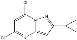 5,7-Dichloro-2-cyclopropyl-pyrazolo[1,5-a]pyrimidine Struktur