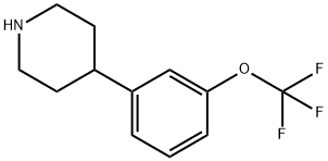 4-(3-Trifluoromethoxy-phenyl)-piperidine Struktur