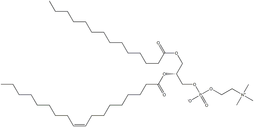 1-myristoyl-2-oleoyl -sn-glycero-3-phosphocholine Struktur