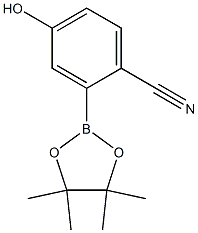  化學(xué)構(gòu)造式